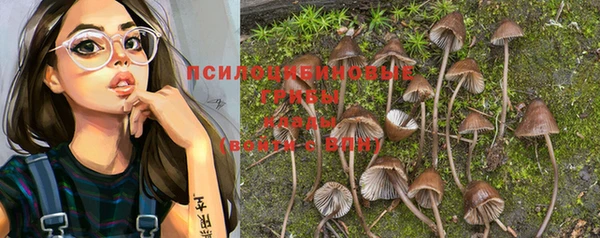 а пвп мука Армянск