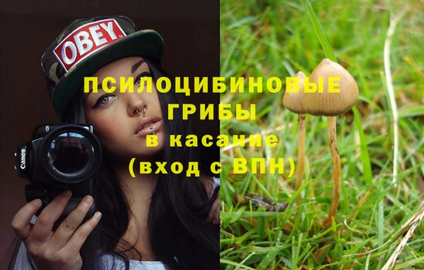 а пвп мука Армянск