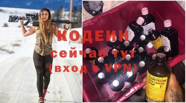 apvp Арсеньев