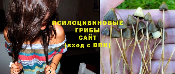 а пвп мука Армянск