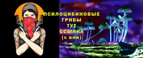 apvp Арсеньев