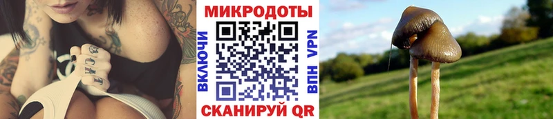 Псилоцибиновые грибы Cubensis  наркошоп  Нязепетровск 